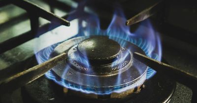 Ofgem warns UK faces 'significant risk' of gas shortage this winter