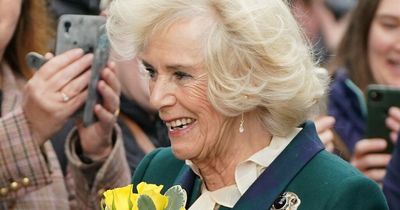 Camilla, The Queen Consort, scraps role that was 'close to Queen's heart'