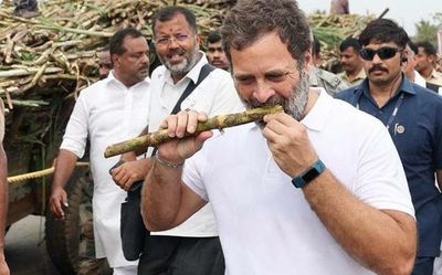 Bharat Jodo Yatra: Rahul visits religious shrines in Mysuru