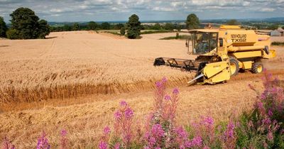 North East charity speaks out on new Government policies which 'threaten nature, climate and food security'