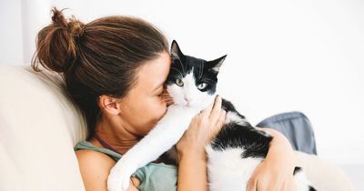 Cat owners 'baffled' by pet behaviours - from string obsession to dead animals