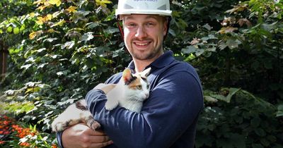 Cat stows away in engineer’s van on three-hour ferry trip to Scottish island