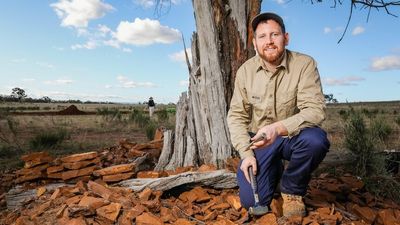 Cicada fossils unearthed on a Central West NSW farm help shed light on Australia's oldest ecosystems