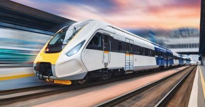 Sydney, Newcastle, Maitland should be high speed rail building blocks: MP