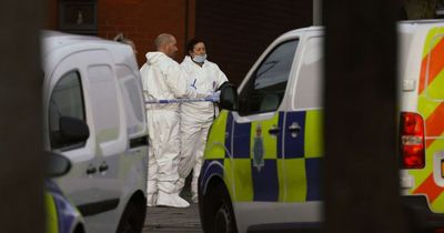 'Screams' heard as woman mauled to death by dogs in home