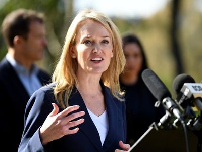 NSW premier gives preselection thumbs-up