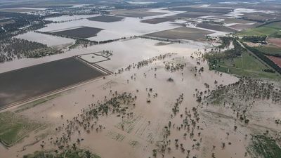 Inland NSW back on high alert for flooding with region set to be hit by two wet weather systems