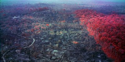 'Beautiful and terrifying': how artist Richard Mosse brings us the vast, significant and urgent story of the Amazon's destruction