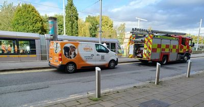 Injured dog rescued by Dublin Fire Brigade and DSPCA after getting trapped under Luas tram