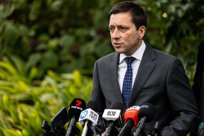 Matthew Guy denies loss of senior Victorian Liberal official will impact state election campaign