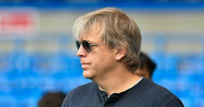 Todd Boehly told to continue investment in Chelsea shining light that is top of world football