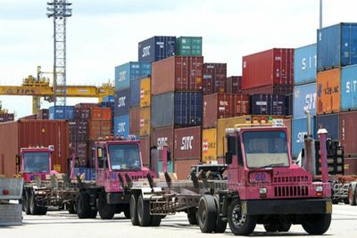 Exports seen up 8% this year: shippers