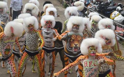 Video | Tiger dance competition in Mangaluru highlights