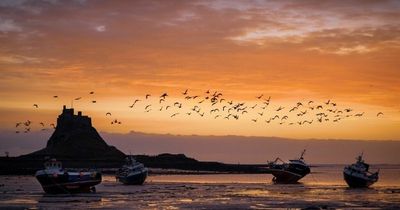 Stunning shot of Holy Island one of two Northern Photography Prize winners