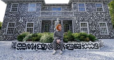 Artist 'doodles' on every surface inside and outside mansion