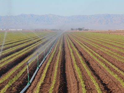 Meet the California farmers awash in Colorado River water, even in a drought