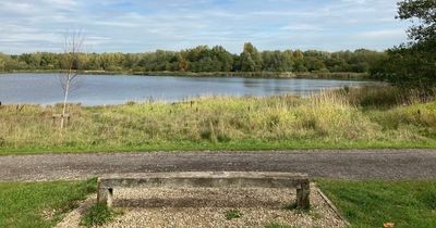 "From coal pits to coal tits": How Wigan's industrial past has transformed into green spaces