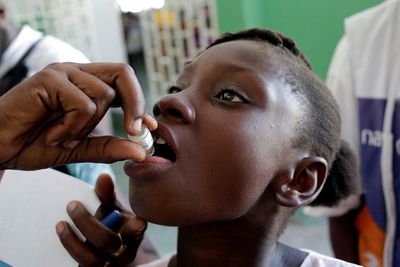 WHO to request cholera vaccines for Haiti, expects further spread