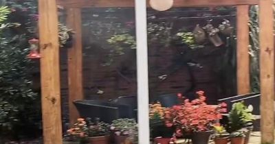 Woman confused after realising holiday home's 'garden' is just clever photo trick