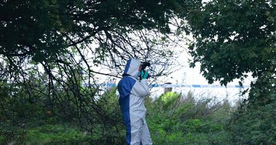 Forensics team launch investigation as police cordon off nature park in Gateshead