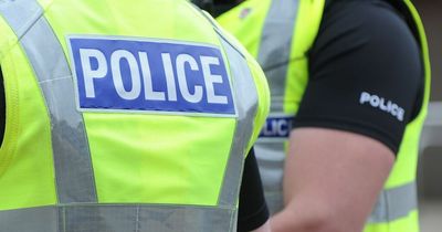 Yob confronted police officers in East Kilbride while brandishing a knife