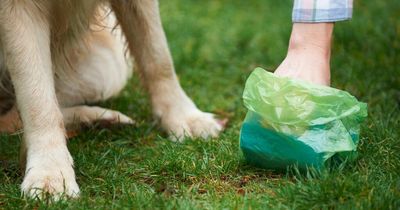 Neighbour furious as man insists 'dog mess is allowed' and refuses to pick it up