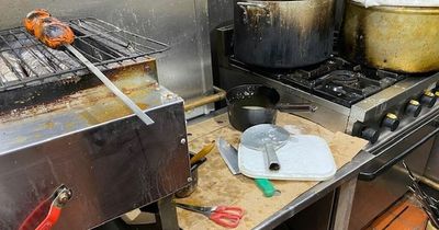 Restaurant with mouse poo in basement and 2-week-old curry in fridge gets one star rating