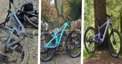 Three high value bikes stolen from Clifton property