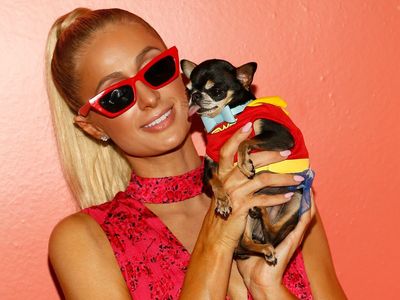 Paris Hilton says she turned to 7 pet mediums in search for pet chihuahua Diamond Baby