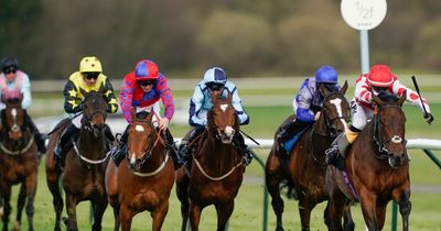 Racing tips from Newsboy from Wednesday's three meetings including Nottingham nap