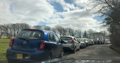 Edinburgh beauty spot trees cut down to make way for more car park spaces