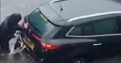 Heroic dog helps owner push car out of flood water after thunderstorm