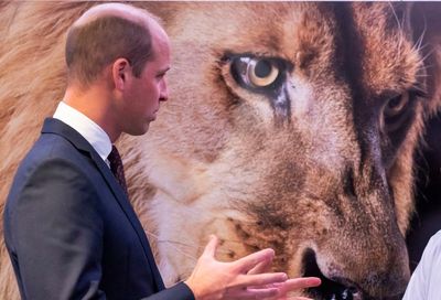 In 1st speech as Prince of Wales, William champions wildlife
