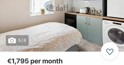 Rent 'insanity' as Dublin studio apartment with bed in the kitchen going for almost €1,800 a month