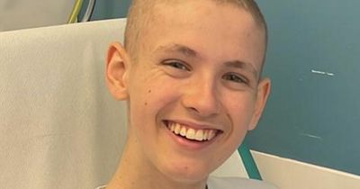 Daniel Greer 'given a fighting chance' as donor comes forward