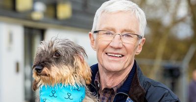 Paul O'Grady confirms the return of beloved television series