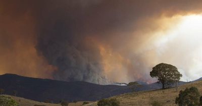 NSW residents allowed in Orroral Valley fire inquiry after court erred