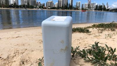 Woman receives some answers about remains washed up on Gold Coast beach