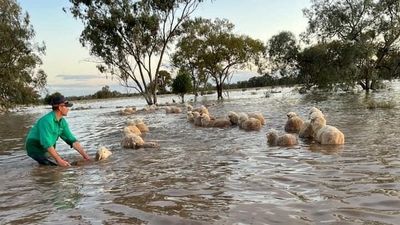 Heavy rain to hit already-flooded parts of central and western NSW in coming days