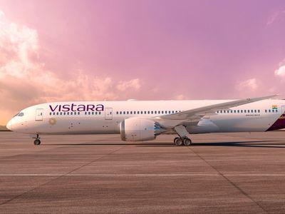 Flying to the rescue: can the boss of Indian airline Vistara untangle the red tape?