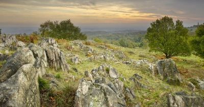 National Forest Company invites landowners to meet them down the pub to talk about working together