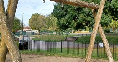 Swings disappear from playground in St George Park