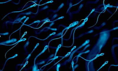 Study links in utero ‘forever chemical’ exposure to low sperm count and mobility