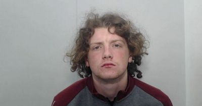 Driver 'covered in wet grass' headbutted police officer after high-speed chase down wrong side of motorway