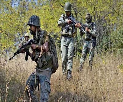 Jammu & Kashmir: 4 local terrorists killed in two encounters in Shopian