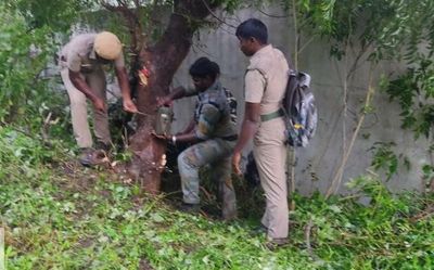 Camera traps to be fixed to monitor leopard on the prowl near Coimbatore