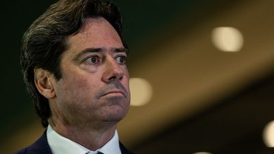 Gillon McLachlan hopes families of First Nations players will take part in Hawthorn racism review