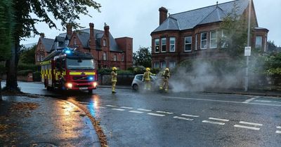 Annadale Avenue: Firefighters tackle car fire in South Belfast