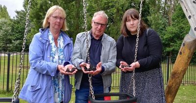 Park lovers count cost as dog owners allow pets to chew swing seats