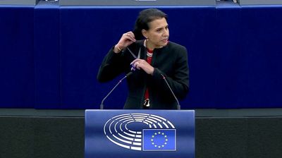 Swedish MEP cuts hair during speech in solidarity with Iranian women
